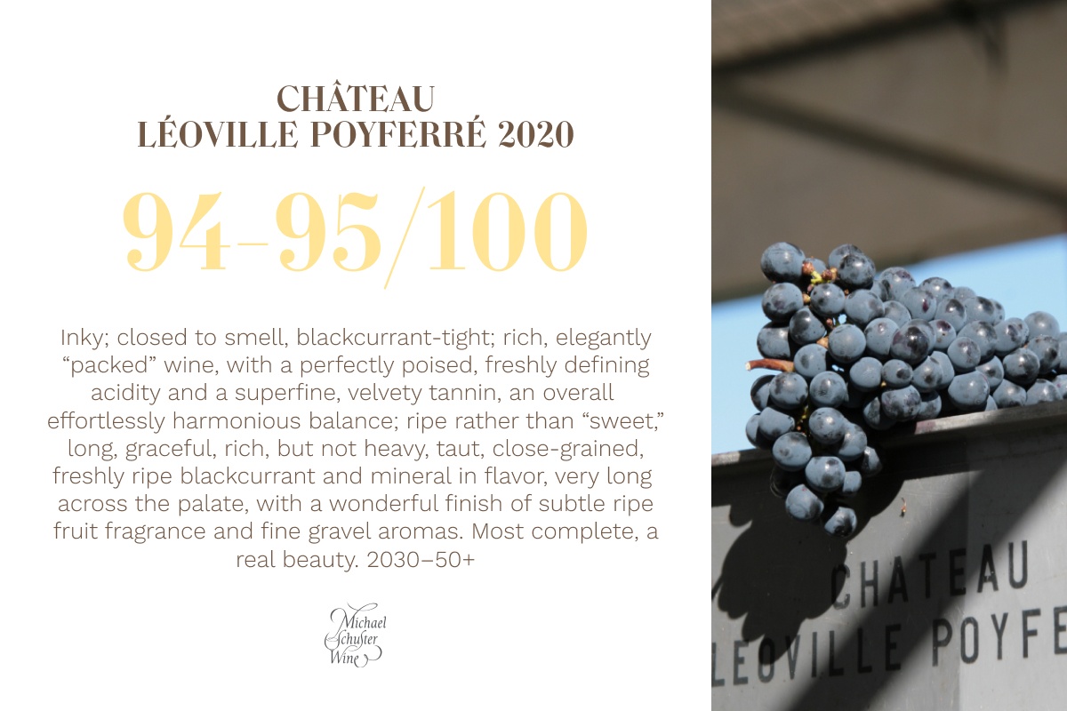 2020 vintage : a promise kept - Léoville Poyferré