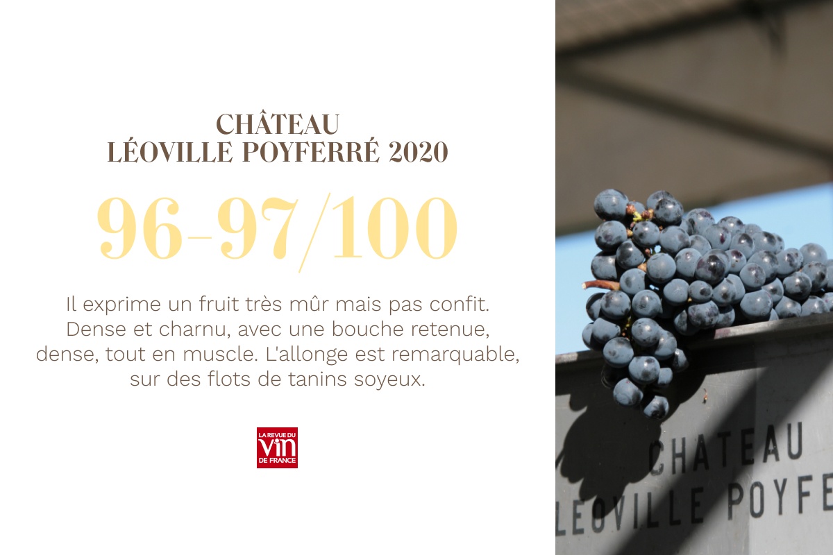 2020 vintage : a promise kept - Léoville Poyferré