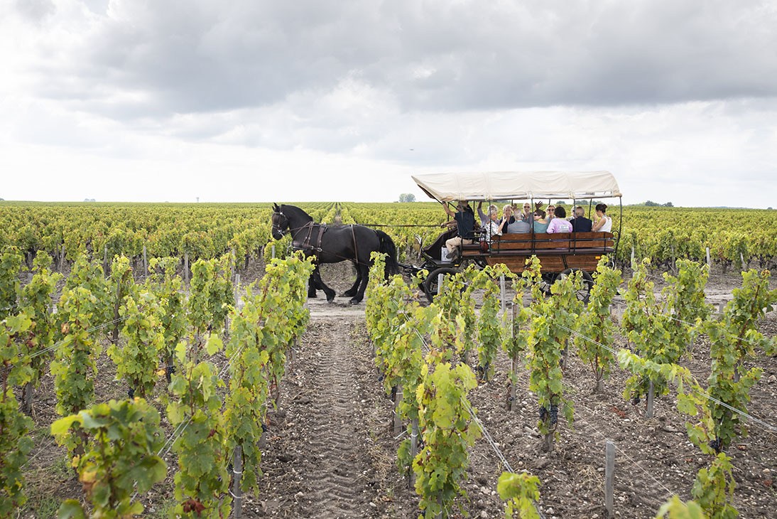 It’s not every day that you celebrate being 100! - Léoville Poyferré