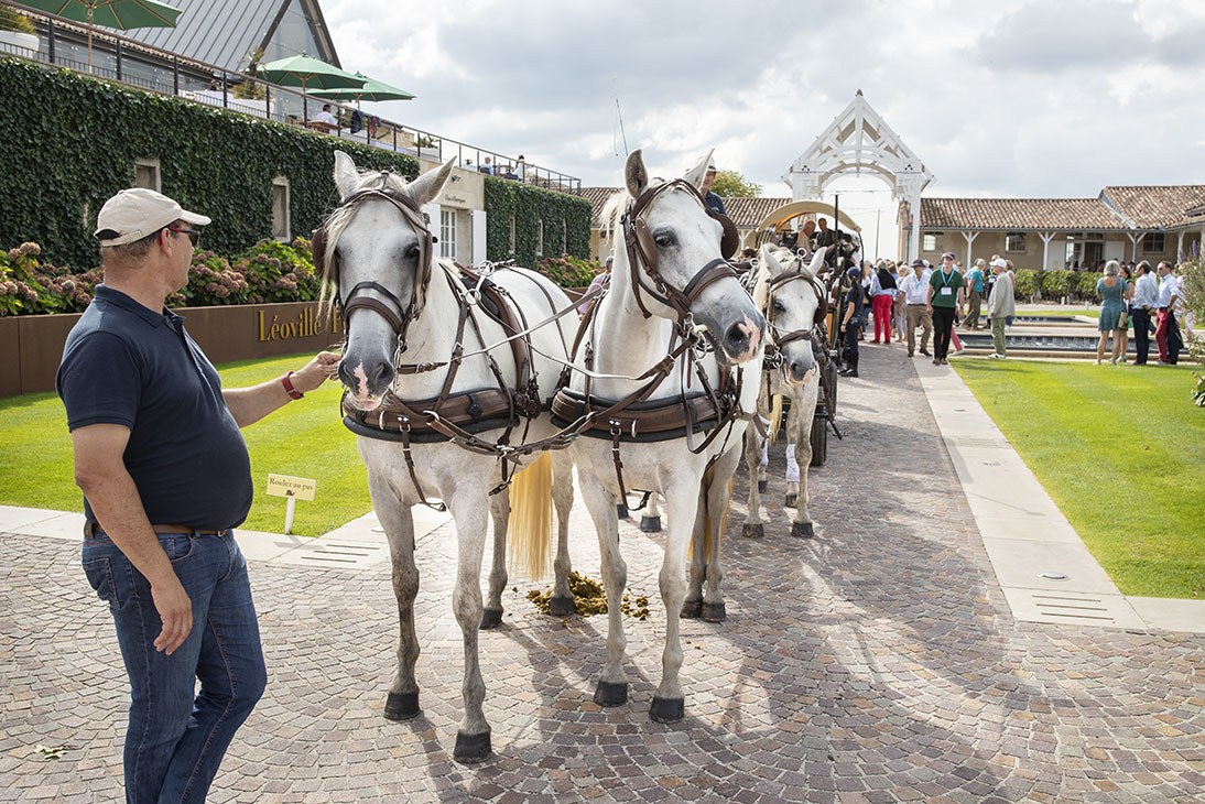 It’s not every day that you celebrate being 100! - Léoville Poyferré