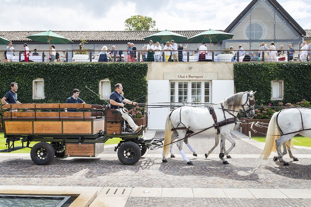 It’s not every day that you celebrate being 100! - Léoville Poyferré