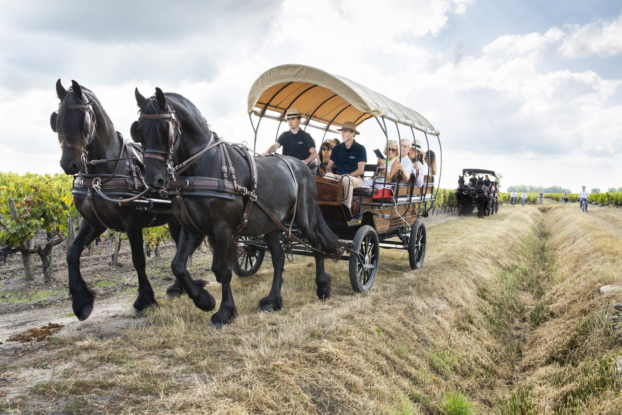 It’s not every day that you celebrate being 100! - Léoville Poyferré