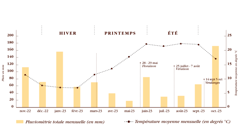 [En Primeurs] Léoville Poyferré 2023 : Noblesse et générosité - Léoville Poyferré