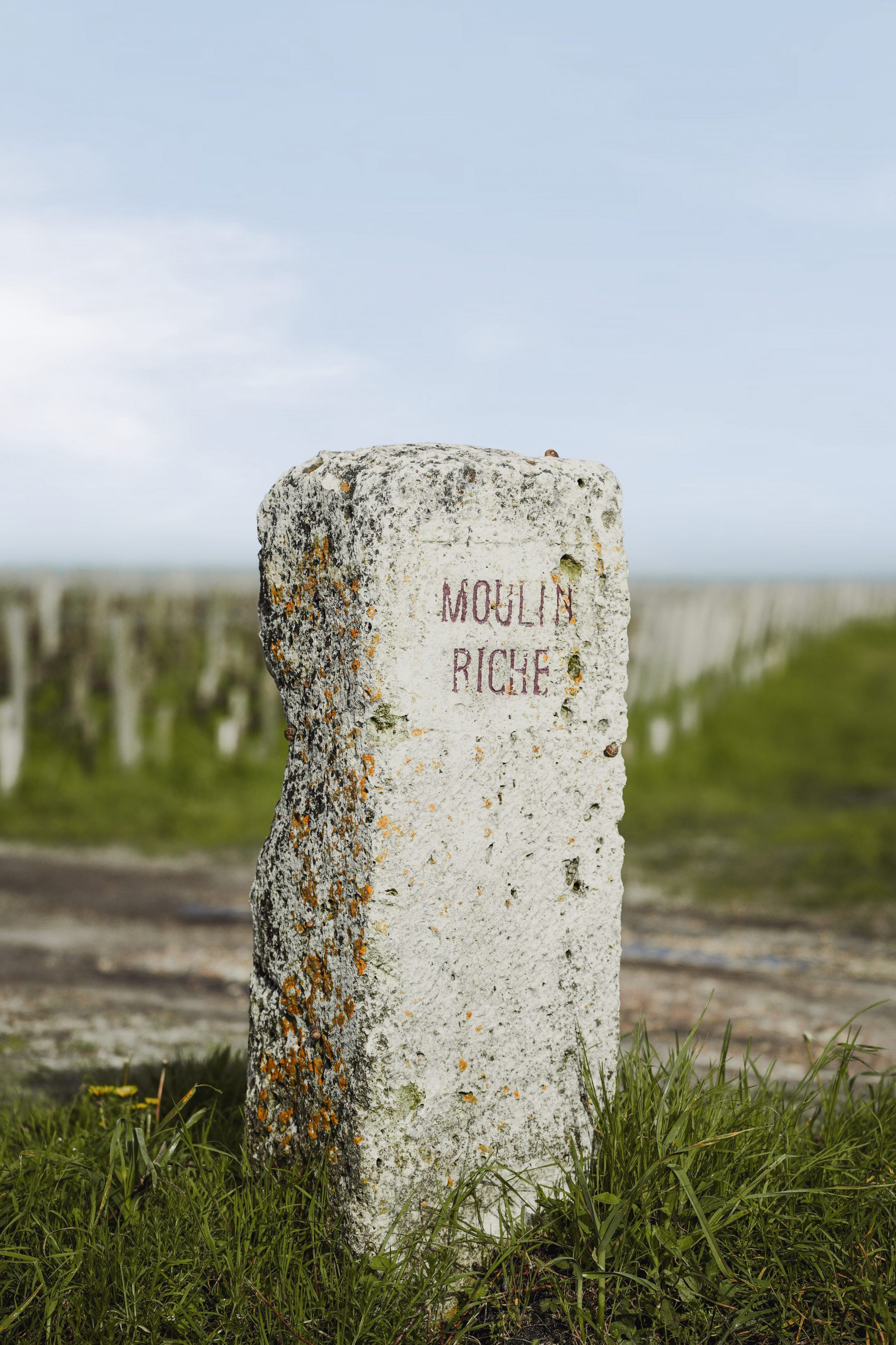 Les Vins - Léoville Poyferré