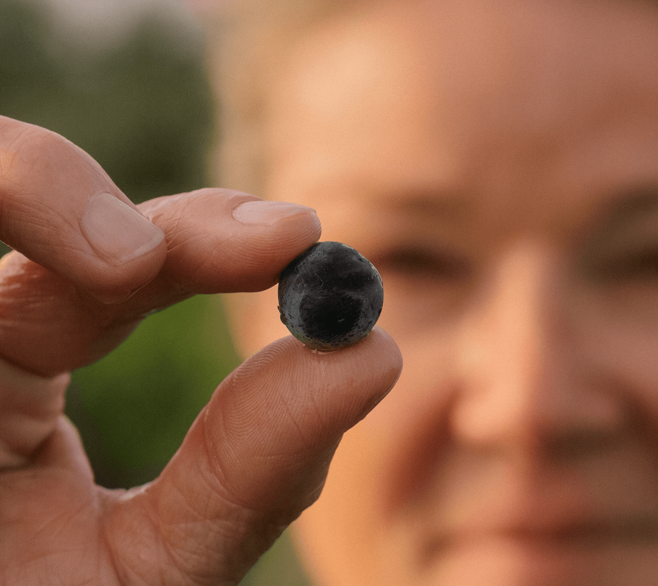 25 Years of Harvests – Isabelle Davin - Léoville Poyferré