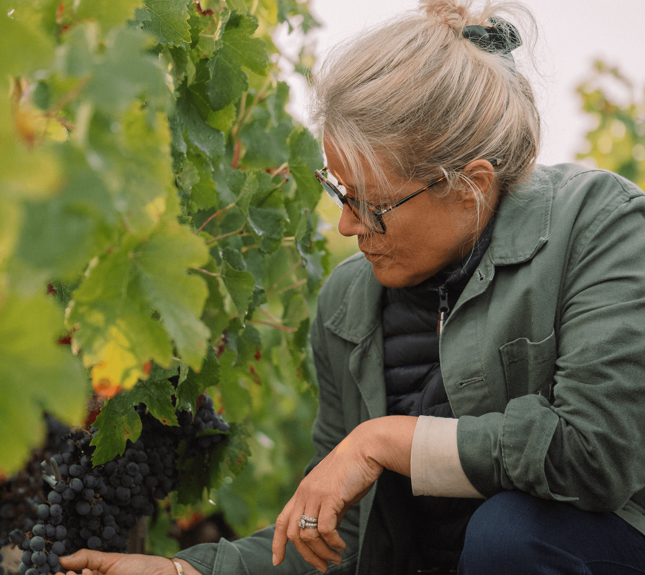 25 Years of Harvests – Isabelle Davin - Léoville Poyferré